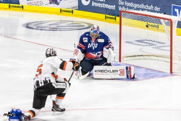 Adler Mannheim- Löwen Frankfurt - 07.09.18-081