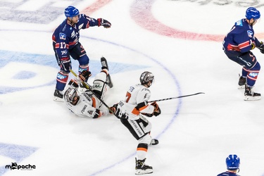 Adler Mannheim- Löwen Frankfurt - 07.09.18-105