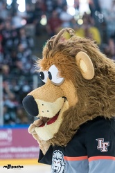 Löwen Frankfurt- Krefelder Pinguine - 09.09.18-011