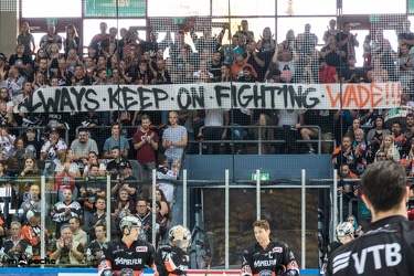 Löwen Frankfurt- Krefelder Pinguine - 09.09.18-024