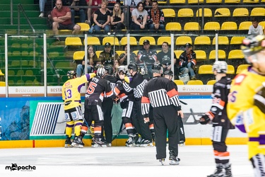 Löwen Frankfurt- Krefelder Pinguine - 09.09.18-030
