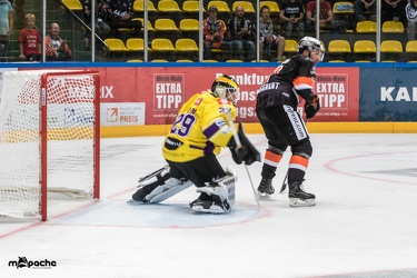 Löwen Frankfurt- Krefelder Pinguine - 09.09.18-031