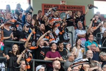 Löwen Frankfurt- Krefelder Pinguine - 09.09.18-033