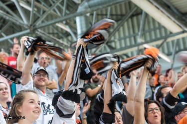 Löwen Frankfurt- Krefelder Pinguine - 09.09.18-034