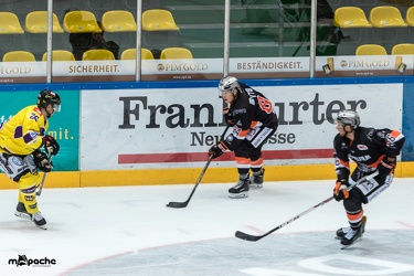 Löwen Frankfurt- Krefelder Pinguine - 09.09.18-037