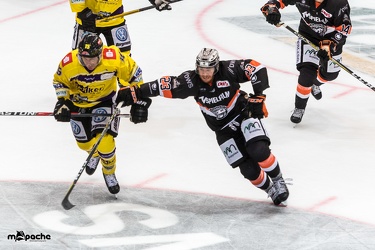 Löwen Frankfurt- Krefelder Pinguine - 09.09.18-041