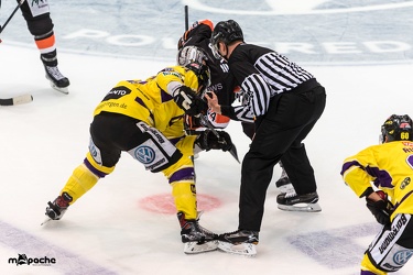Löwen Frankfurt- Krefelder Pinguine - 09.09.18-044