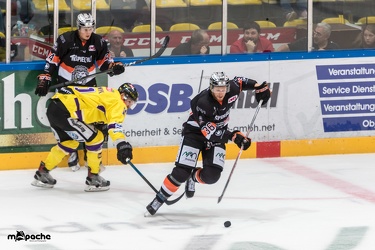 Löwen Frankfurt- Krefelder Pinguine - 09.09.18-045