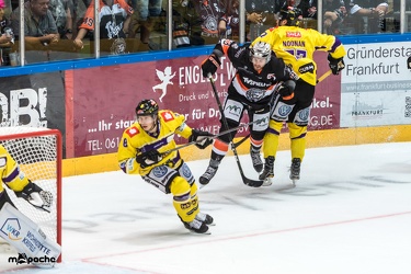 Löwen Frankfurt- Krefelder Pinguine - 09.09.18-046