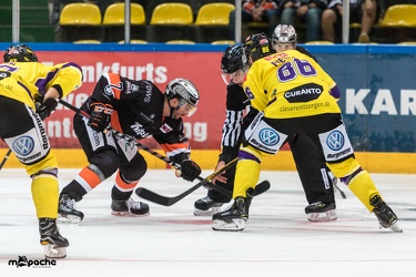Löwen Frankfurt- Krefelder Pinguine - 09.09.18-054