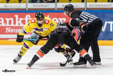 Löwen Frankfurt- Krefelder Pinguine - 09.09.18-061