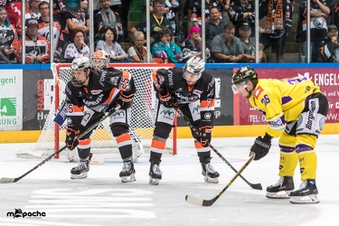Löwen Frankfurt- Krefelder Pinguine - 09.09.18-065