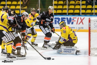 Löwen Frankfurt- Krefelder Pinguine - 09.09.18-069