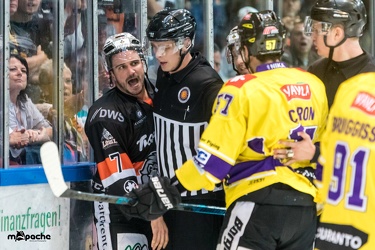 Löwen Frankfurt- Krefelder Pinguine - 09.09.18-076