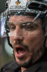 Löwen Frankfurt- Krefelder Pinguine - 09.09.18-001