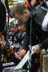Löwen Frankfurt- Krefelder Pinguine - 09.09.18-003