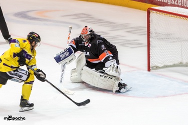 Löwen Frankfurt- Krefelder Pinguine - 09.09.18-009