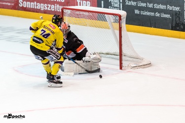 Löwen Frankfurt- Krefelder Pinguine - 09.09.18-011