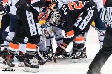 Löwen Frankfurt- Kassel Huskies - 21.09.18-055