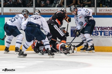 Löwen Frankfurt- Kassel Huskies - 21.09.18-084