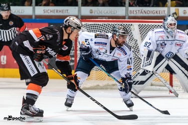 Löwen Frankfurt- Kassel Huskies - 21.09.18-091