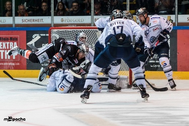 Löwen Frankfurt- Kassel Huskies - 21.09.18-101