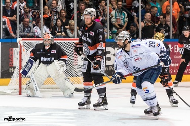Löwen Frankfurt- Kassel Huskies - 21.09.18-110