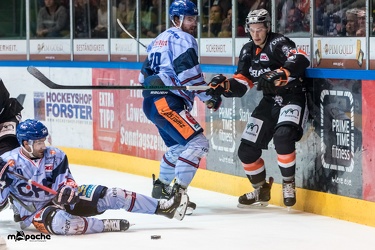 Löwen Frankfurt- Ravensburg Towerstars - 12.10.18-059