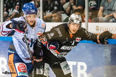 Löwen Frankfurt- Ravensburg Towerstars - 12.10.18-061
