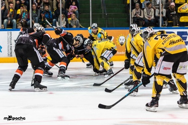 Löwen Frankfurt - Bayreuth Tigers - 21.10.18-025