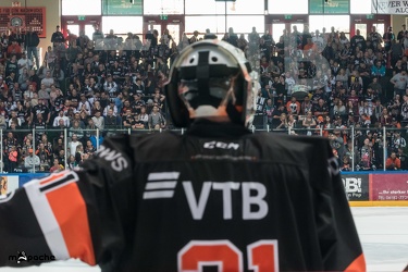Löwen Frankfurt - Bayreuth Tigers - 21.10.18-040