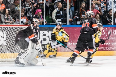 Löwen Frankfurt - Bayreuth Tigers - 21.10.18-070