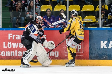 Löwen Frankfurt - Bayreuth Tigers - 21.10.18-076
