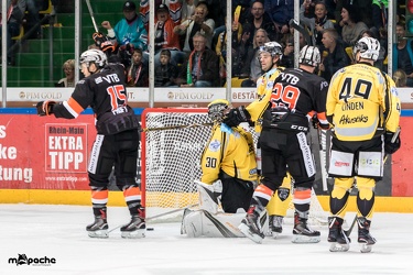 Löwen Frankfurt - Bayreuth Tigers - 21.10.18-077