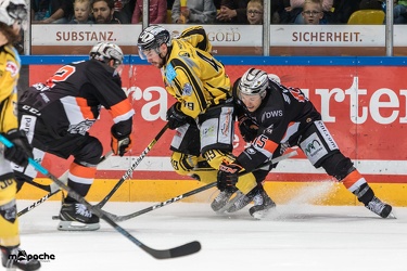 Löwen Frankfurt - Bayreuth Tigers - 21.10.18-084