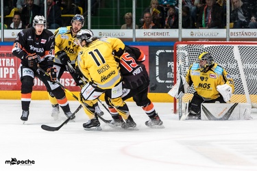 Löwen Frankfurt - Bayreuth Tigers - 21.10.18-085