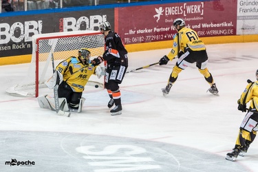 Löwen Frankfurt - Bayreuth Tigers - 21.10.18-097
