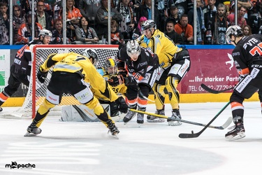 Löwen Frankfurt - Bayreuth Tigers - 21.10.18-111
