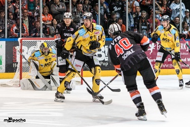 Löwen Frankfurt - Bayreuth Tigers - 21.10.18-112