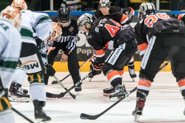 Löwen Frankfurt- Bbietigheim Steelers - 07.12.18-095