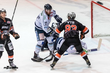 Löwen Frankfurt - Dresdner Eislöwen - 02.01.19-072