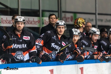 Löwen Frankfurt - Dresdner Eislöwen - 02.01.19-075