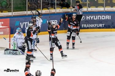 Löwen Frankfurt - Dresdner Eislöwen - 02.01.19-079