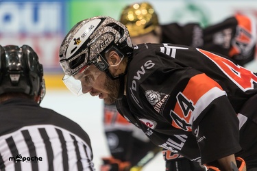 Löwen Frankfurt - Dresdner Eislöwen - 02.01.19-084