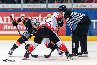 Löwen Frankfurt - ESC Bad Nauheim - 06.01.19-059