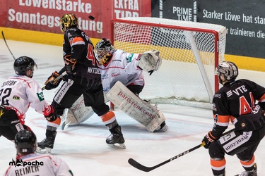 Löwen Frankfurt - ESC Bad Nauheim - 06.01.19-071