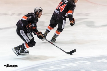Löwen Frankfurt - ESC Bad Nauheim - 06.01.19-074