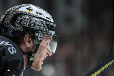 Löwen Frankfurt - Ravensbutg Towerstars - 13.01.19-081