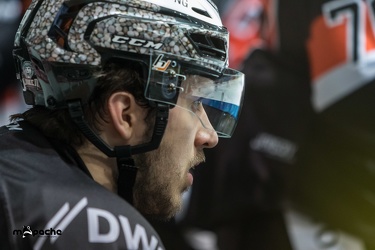 Löwen Frankfurt - Ravensbutg Towerstars - 13.01.19-082