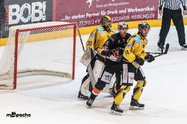 Löwen Frankfurt - Bayreuth Tigers - 18.01.19-030